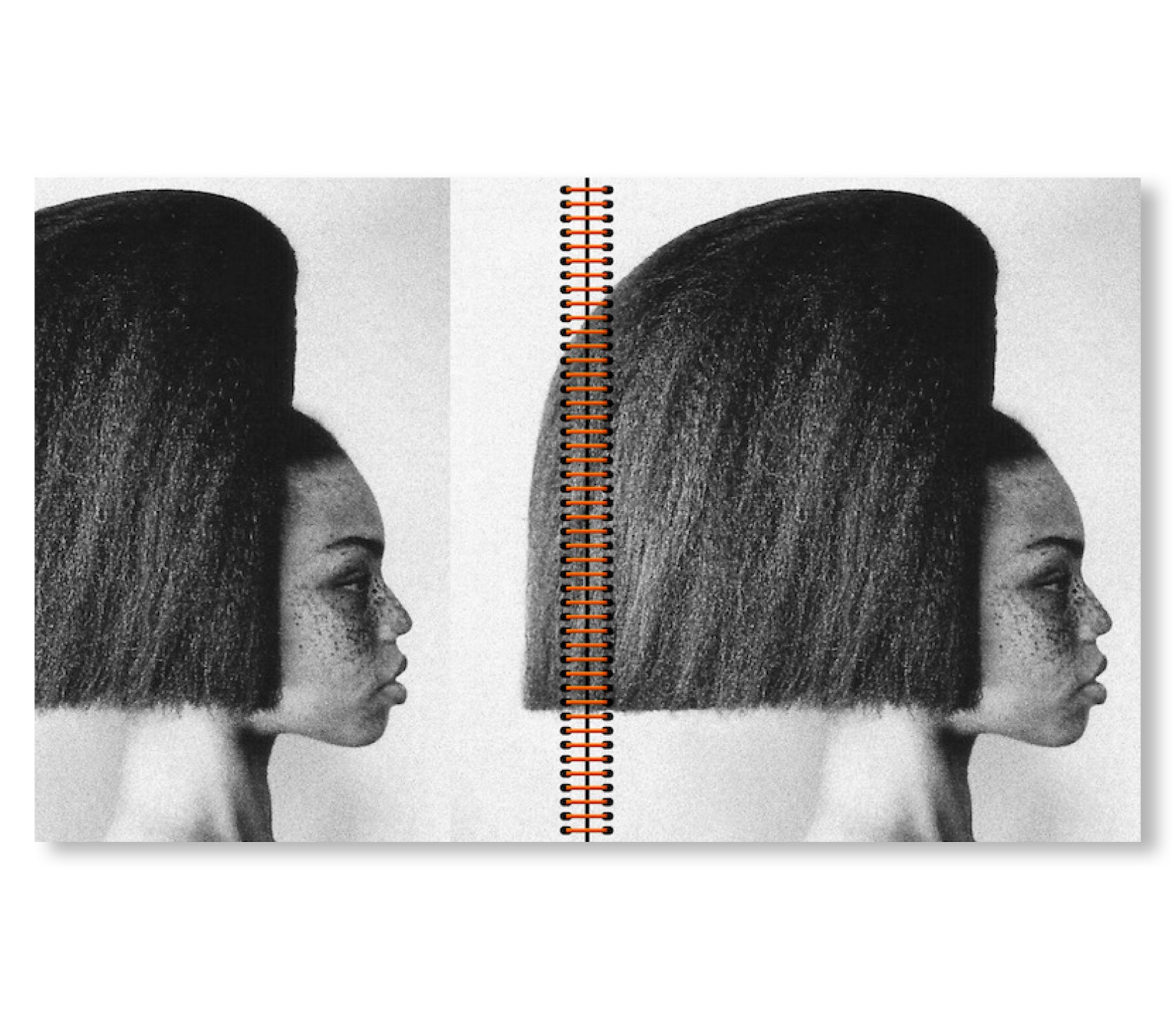 HAIRTESTS by Guido Palau – twelvebooks