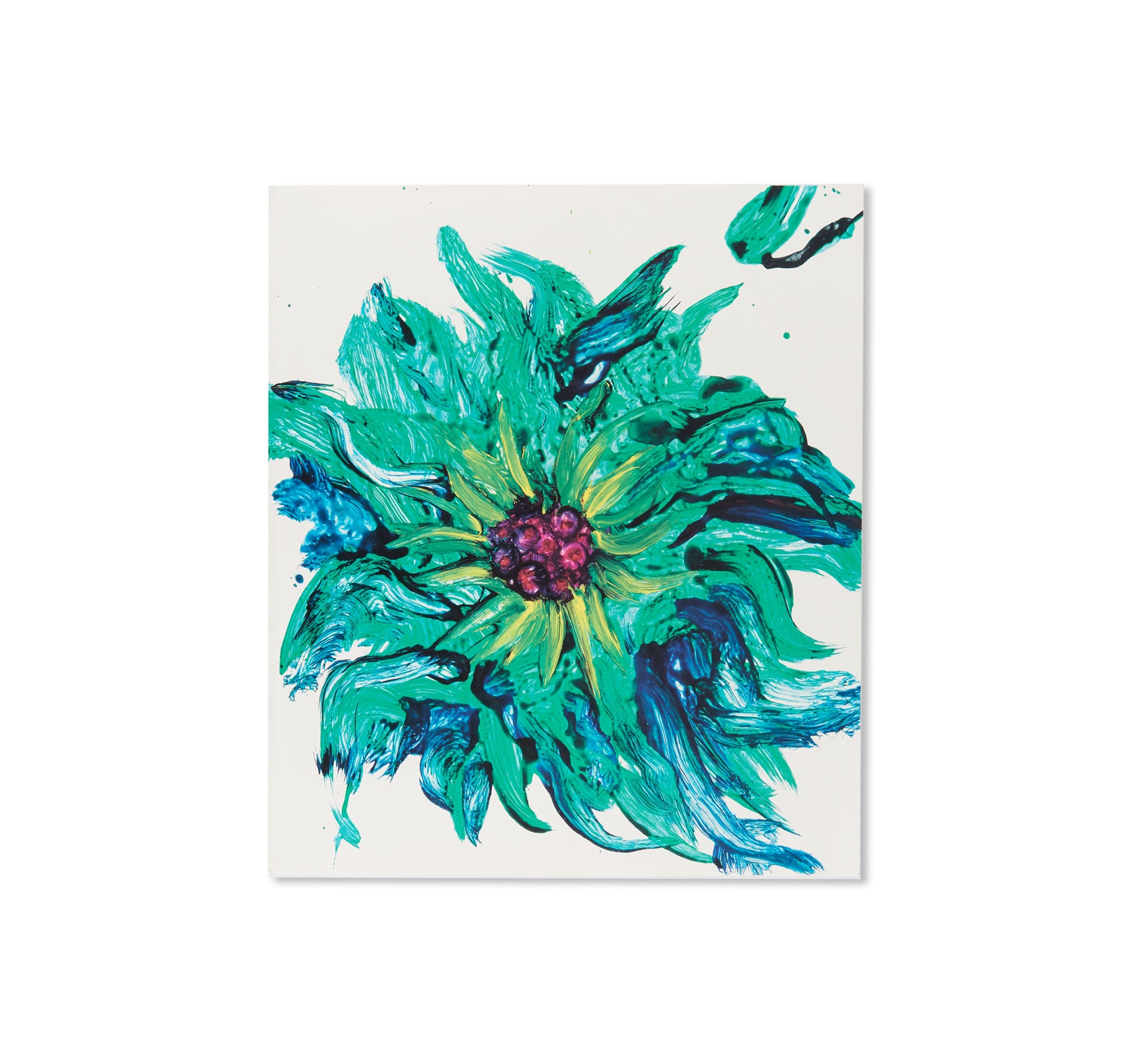 流石 / RYU U SE KI - HYSTERIC No.10 by Nobuyoshi Araki – twelvebooks