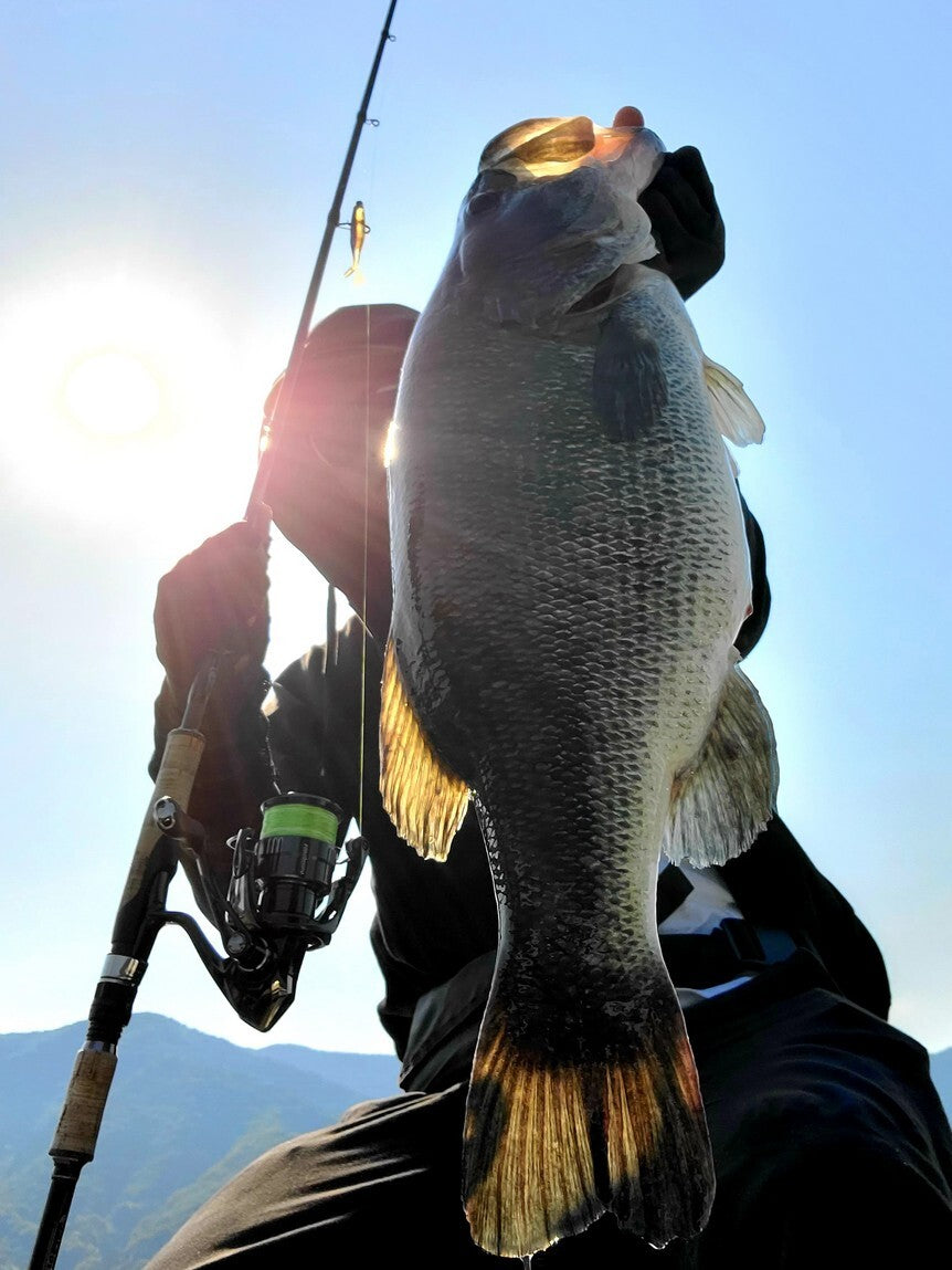 Monstruo“ConceptDestruction”66MLS～StrawSetting～ – TULALA online