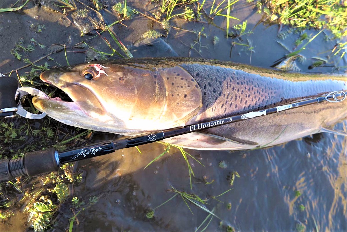 TULALA | Ford every stream | » El Horizonte 78