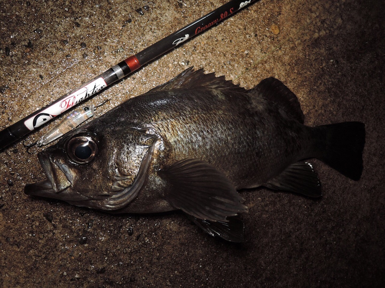 TULALA | Ford every stream | » Flightex Groovy 80S