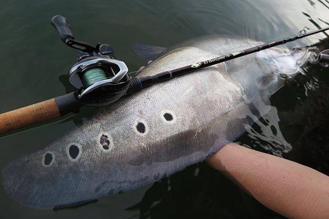 TULALA | Ford every stream | » El Horizonte 70