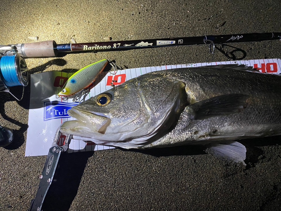 TULALA | Ford every stream | » 【公式】BariCraft×TULALA