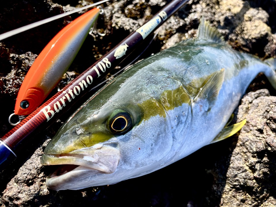 TULALA | Ford every stream | » News_Category » Baritono（バリトーノ）