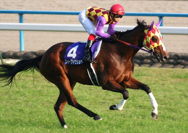 私の淀40年物語」2007年エリザベス女王杯から（スイープトウショウ