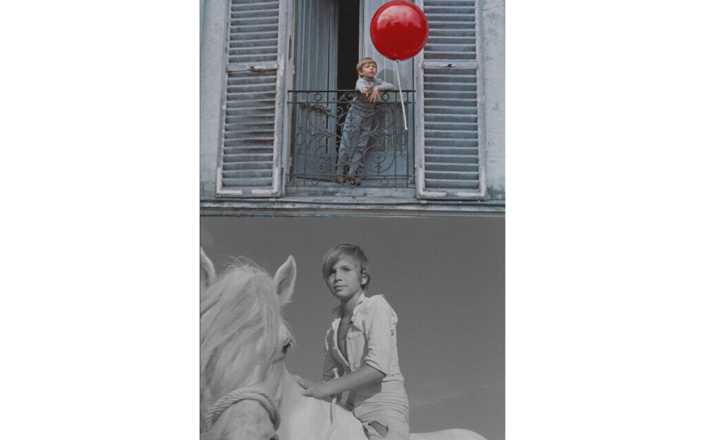 赤い風船／白い馬 |テアトルシネマグループ