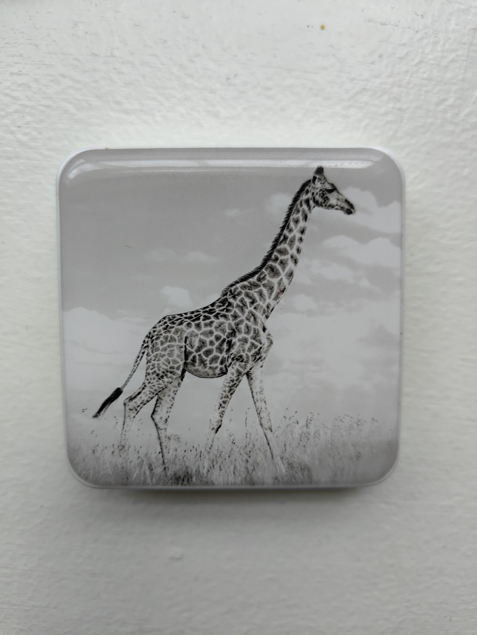 chantecaille Giraffe Eyeshadow Limited | Mercari