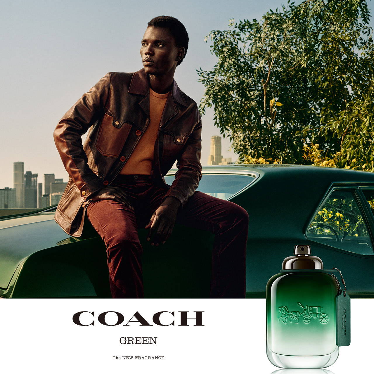 コーチ (COACH) | コーチ マン グリーン オードトワレ