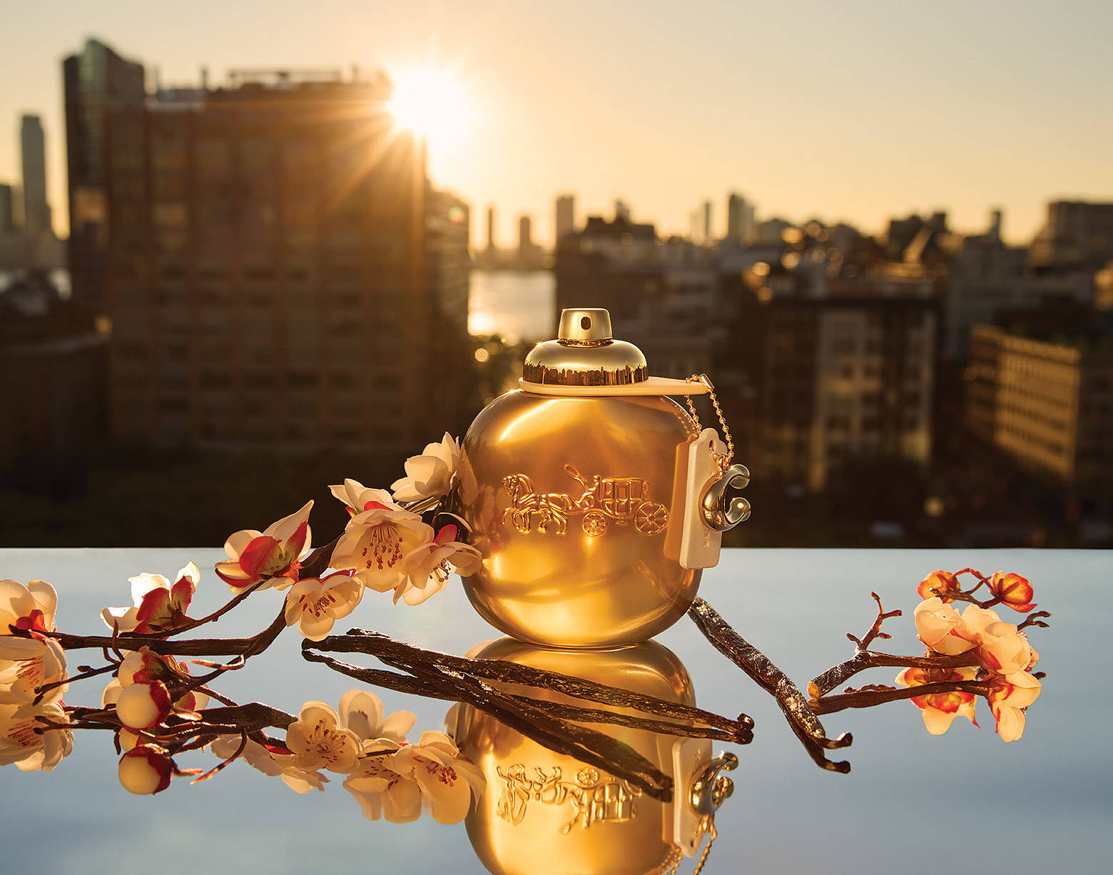 COACH GOLD PARFUM（コーチ ゴールド パルファム）｜香水・フレグランス