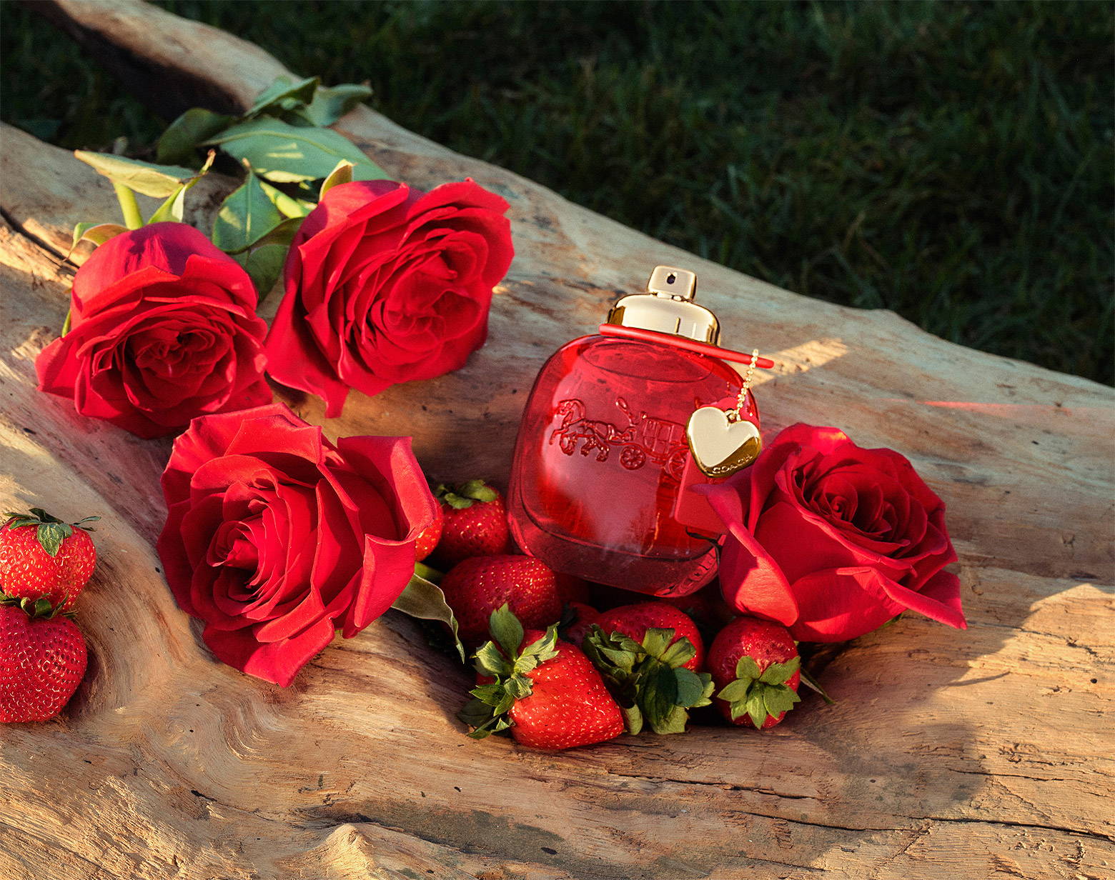 コーチ (COACH) | コーチラブ オードパルファム