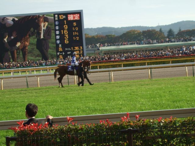 ウオッカvsダイワスカーレット。日本の競馬史上