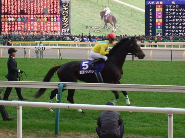 ウオッカvsダイワスカーレット。日本の競馬史上