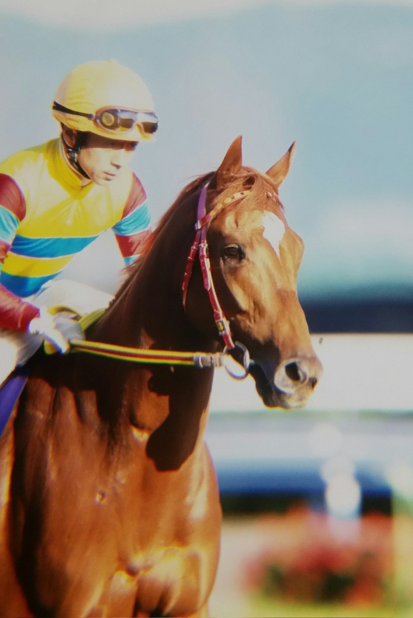 新時代の扉」をこじ開けたヒーロー - アグネスデジタル | ウマフリ