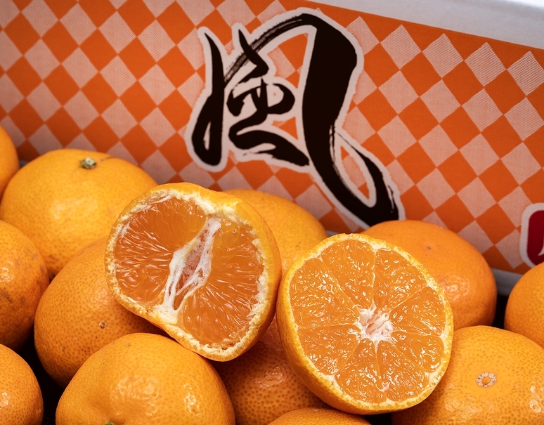 天皇杯受賞産地】「風みかん」愛媛県産 川上共選 JAにしうわ 訳あり S