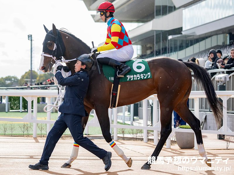 スワンS2025】血統アナリシス ダンシングブレーヴ内包馬の激走に注意