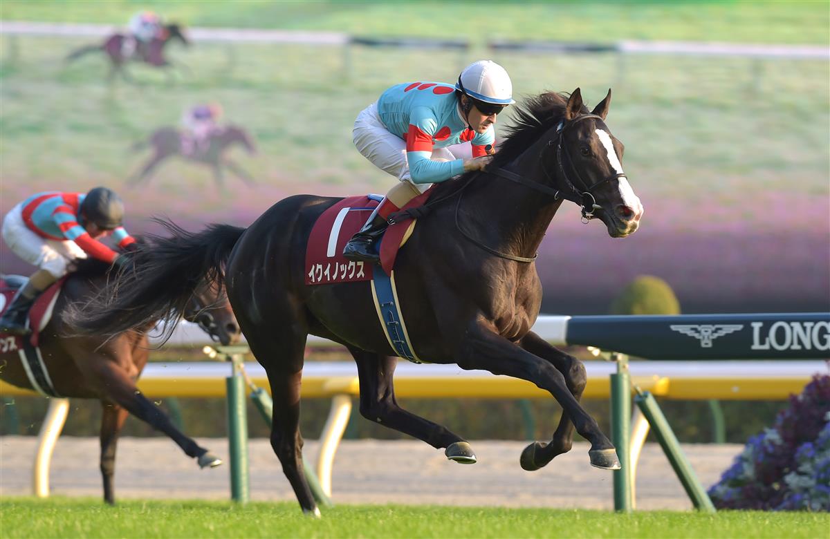 イクイノックス 2021 東スポ杯2歳C・ルメール騎手直筆サイン 鬣