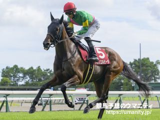 タガノエルピーダ - 競走馬データTOP｜競馬予想のウマニティ