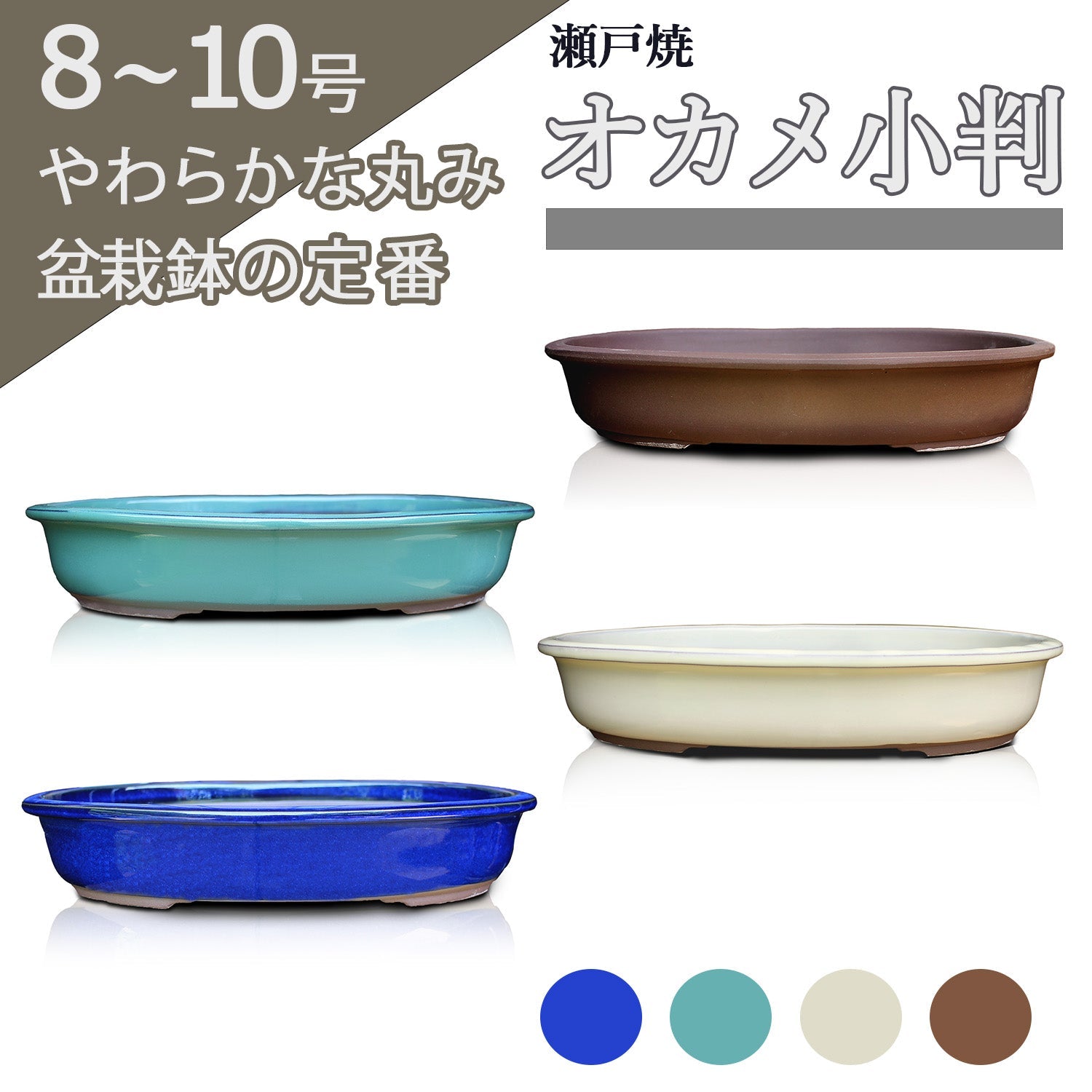 hachi – うめきち盆栽用品店