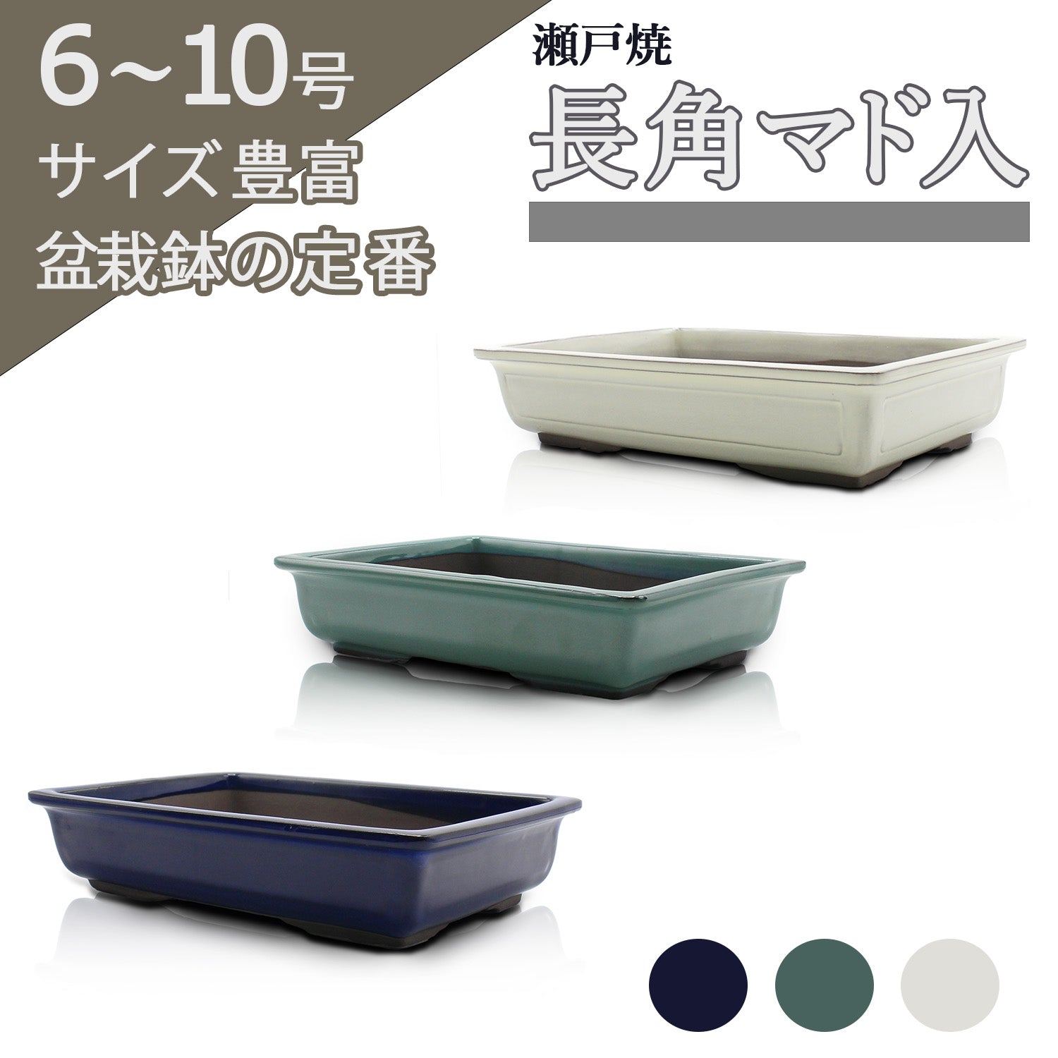 hachi – うめきち盆栽用品店