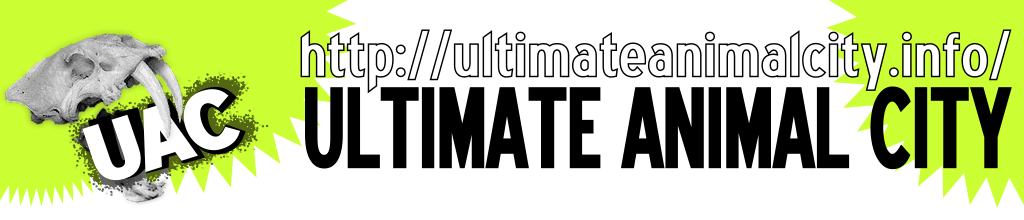 パンク町田のプロフィール | ULTIMATE ANIMAL CITY