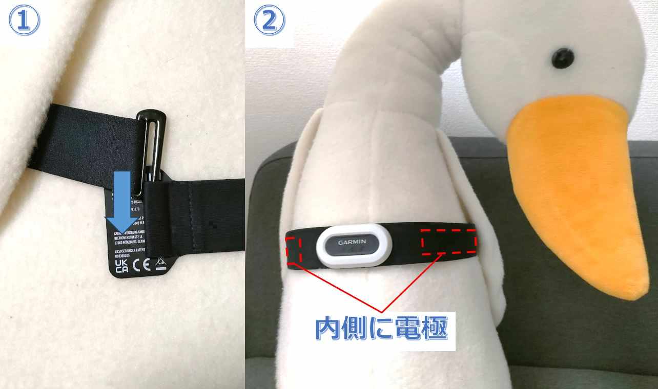 Garmin】HRM-Pro Plus レビュー│胸ベルト型心拍計を初体験