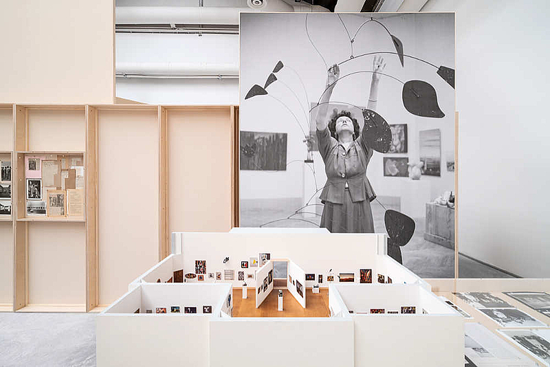 The Cold War – the new world orders 1948-1964. The Disquieted