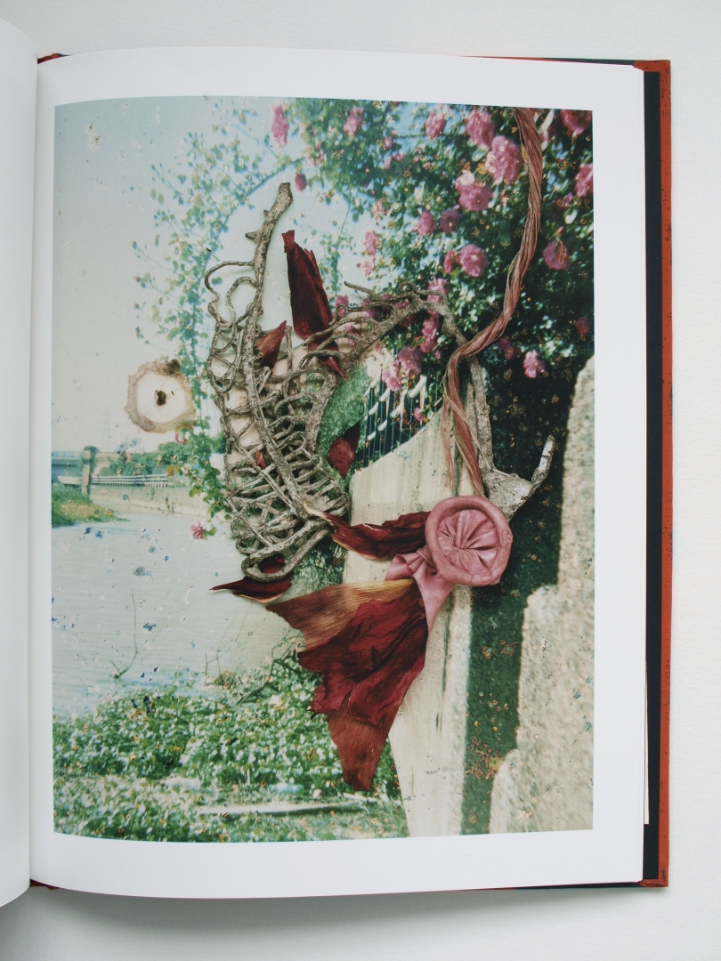 Stephen Gill 'Hackney Flowers' (signed) - Fragment