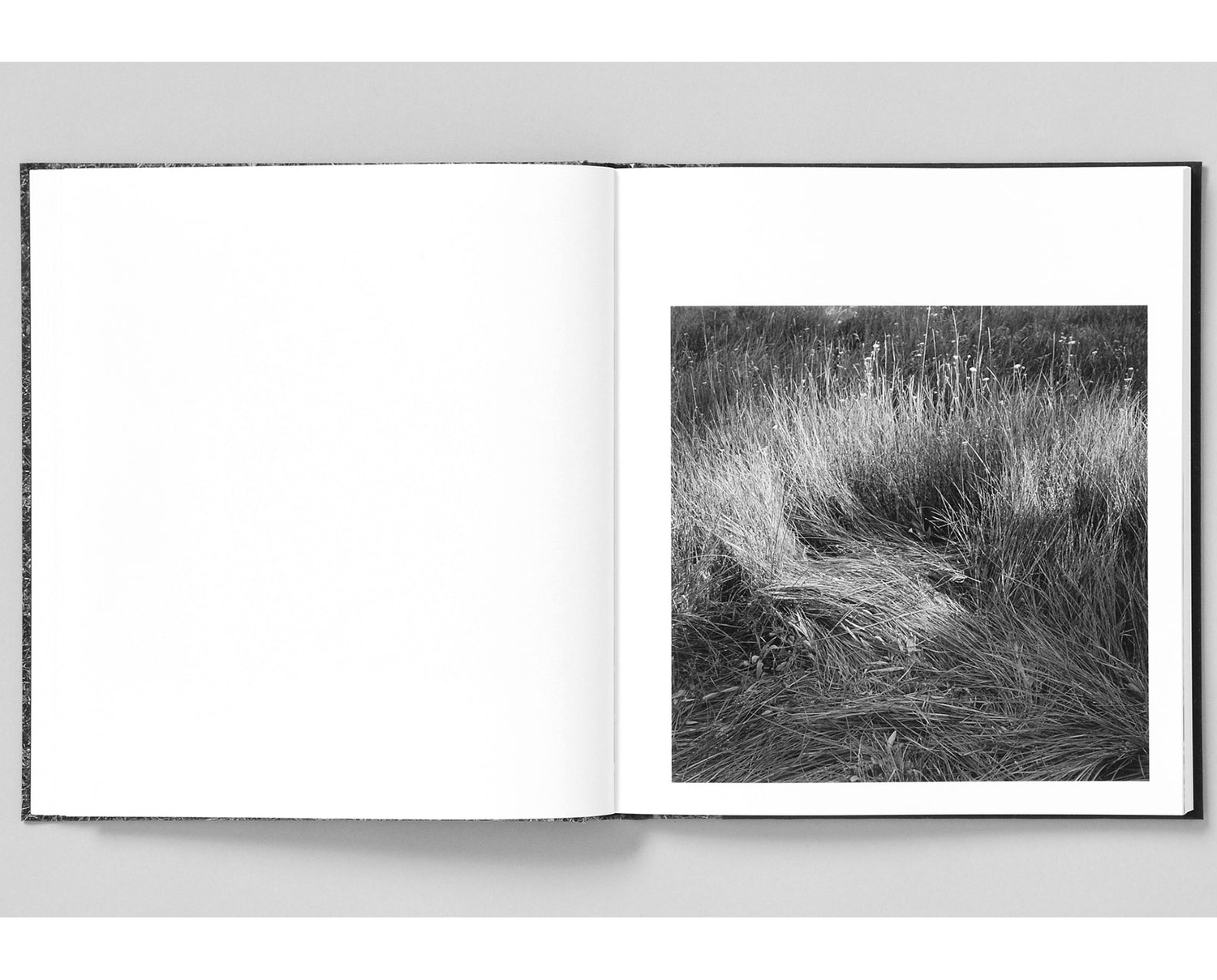 Mimi Plumb 'Megalith-Still' - Fragment