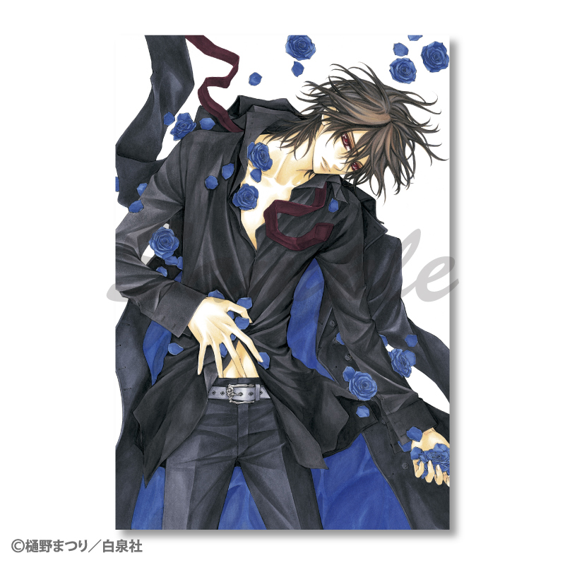 ヴァンパイア騎士 25周年 樋野まつり原画展 公式ビジュアルブック 公式