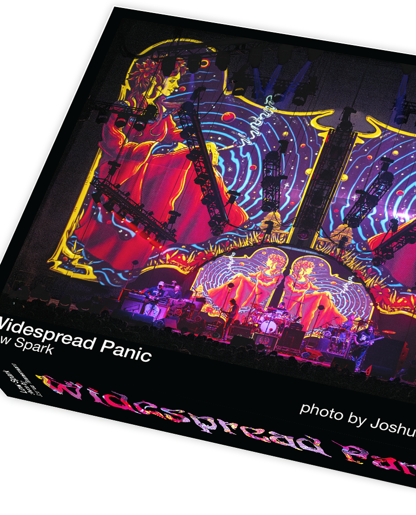 Widespread Panic Low Spark, photo by Joshua Timmermans - 500 piece