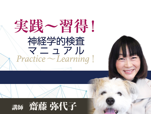 神経学的検査と整形外科学的検査のコツ DVD付き Yahoo!オークション