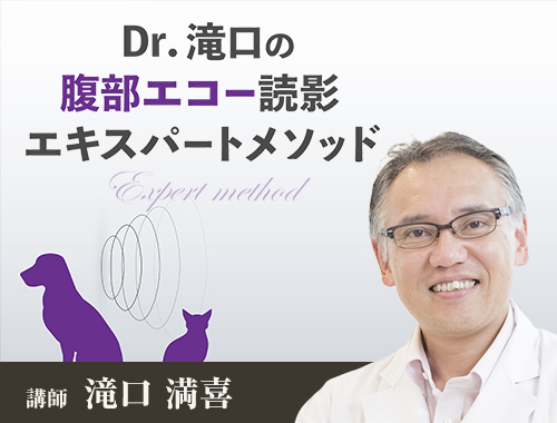 Dr.滝口の腹部エコー読影 エキスパートメソッド|VetMovie 獣医師向け