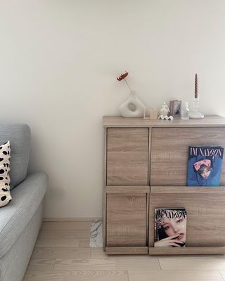 ディスプレイラック2個セット フラップ扉付きで見せる収納(ホワイト