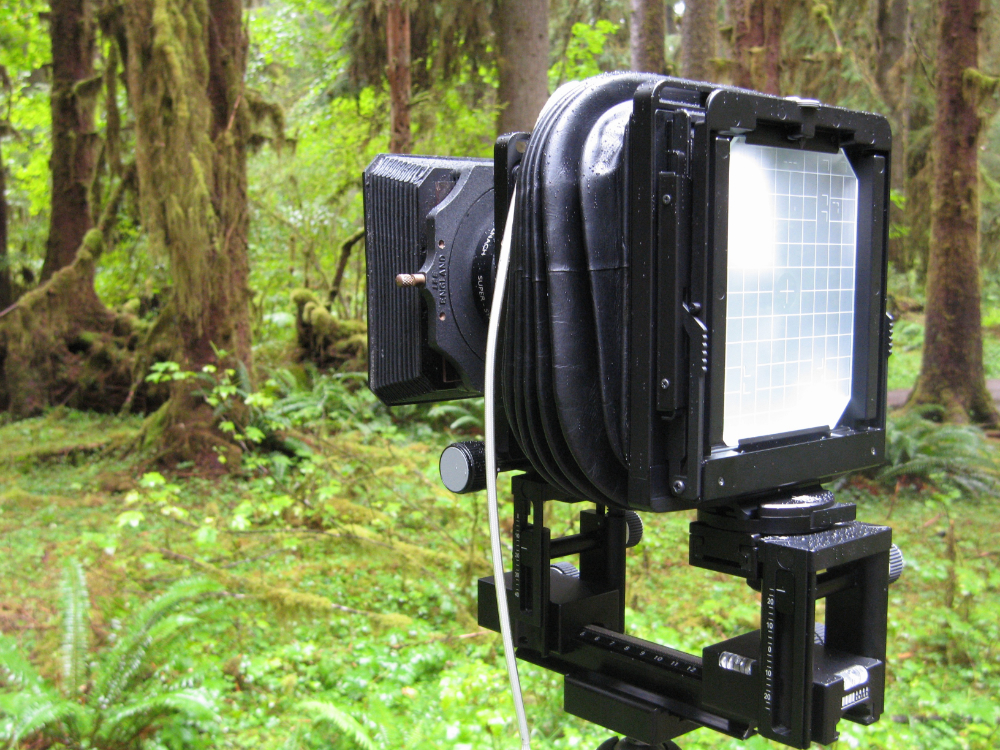 Review: Arca-Swiss F-Universalis 4x5 by Mark Darragh - View Camera