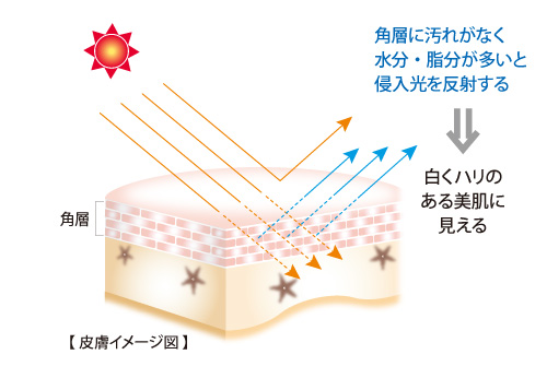 医薬部外品 薬用 オウゴンアクアMKパック ジョアエコ280MK｜VIVANT