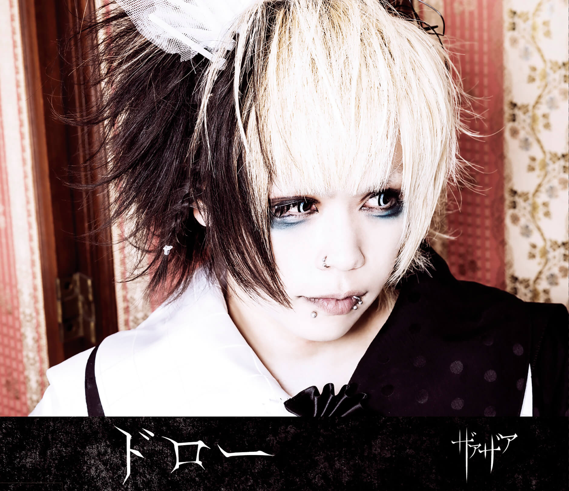 XAA-XAA discography | ザアザアディスコグラフィ | vkgy (ブイケージ)