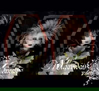 Kaikoroku III - Marvelous Cruelty | vkgy (ブイケージ)