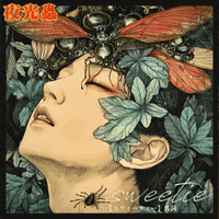 KamuiPips profile | vkgy (ブイケージ)