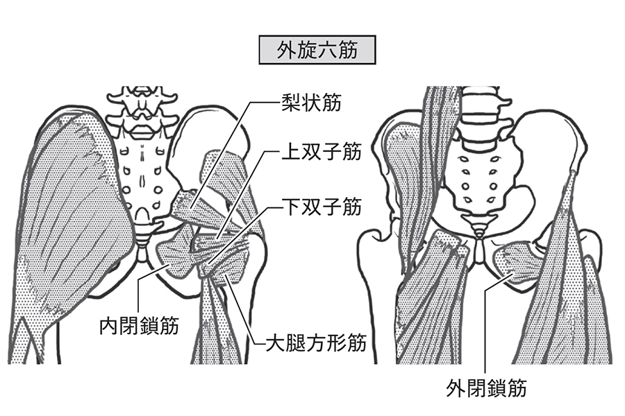 硬くなりやすい股関節、日頃からできるケアは？ トップトレーナーが2