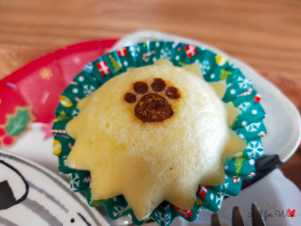 伊賀】居心地満点のドッグカフェ「かふぇZikka(ジッカ)」はランも無料