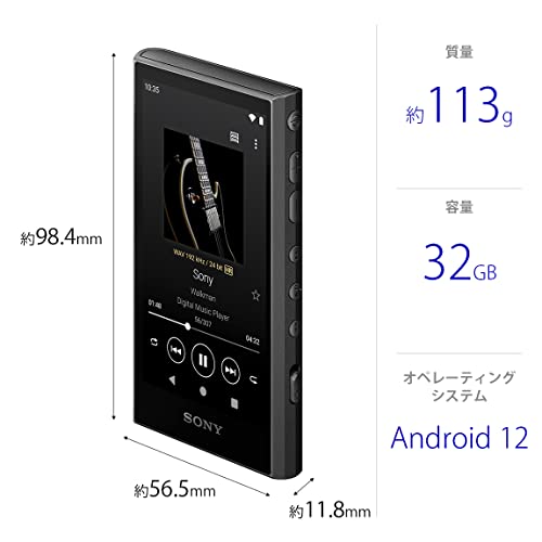 SONY WALKMAN 32GB Hi-Res A300 Series NW-A306 Audio Player Black