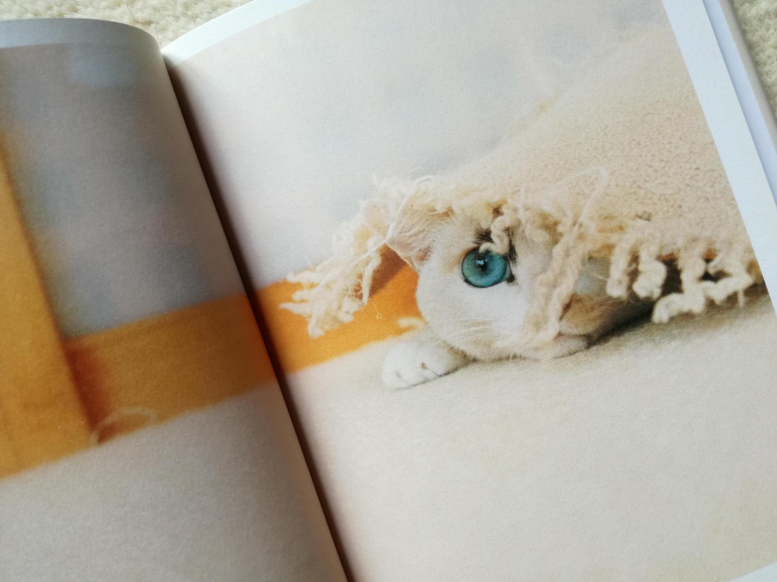 ミーちゃんといっしょ | 猫本専門書店 書肆 吾輩堂