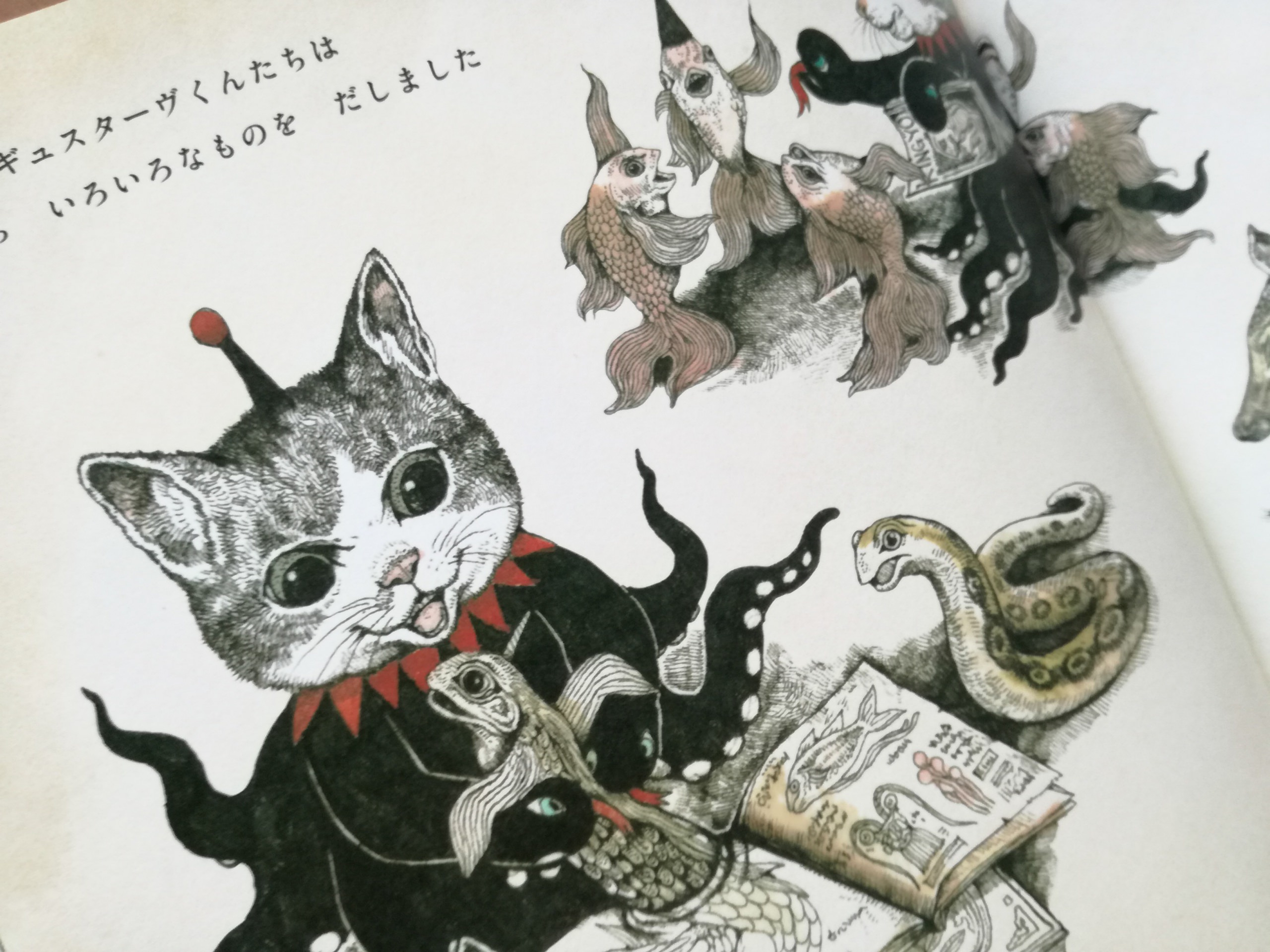 ギュスターヴくん | 猫本専門書店 書肆 吾輩堂