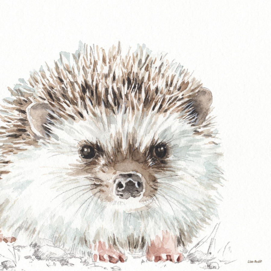 PHOTOWALL / Forest Friends I (e313301) | 輸入壁紙専門店 WALPA