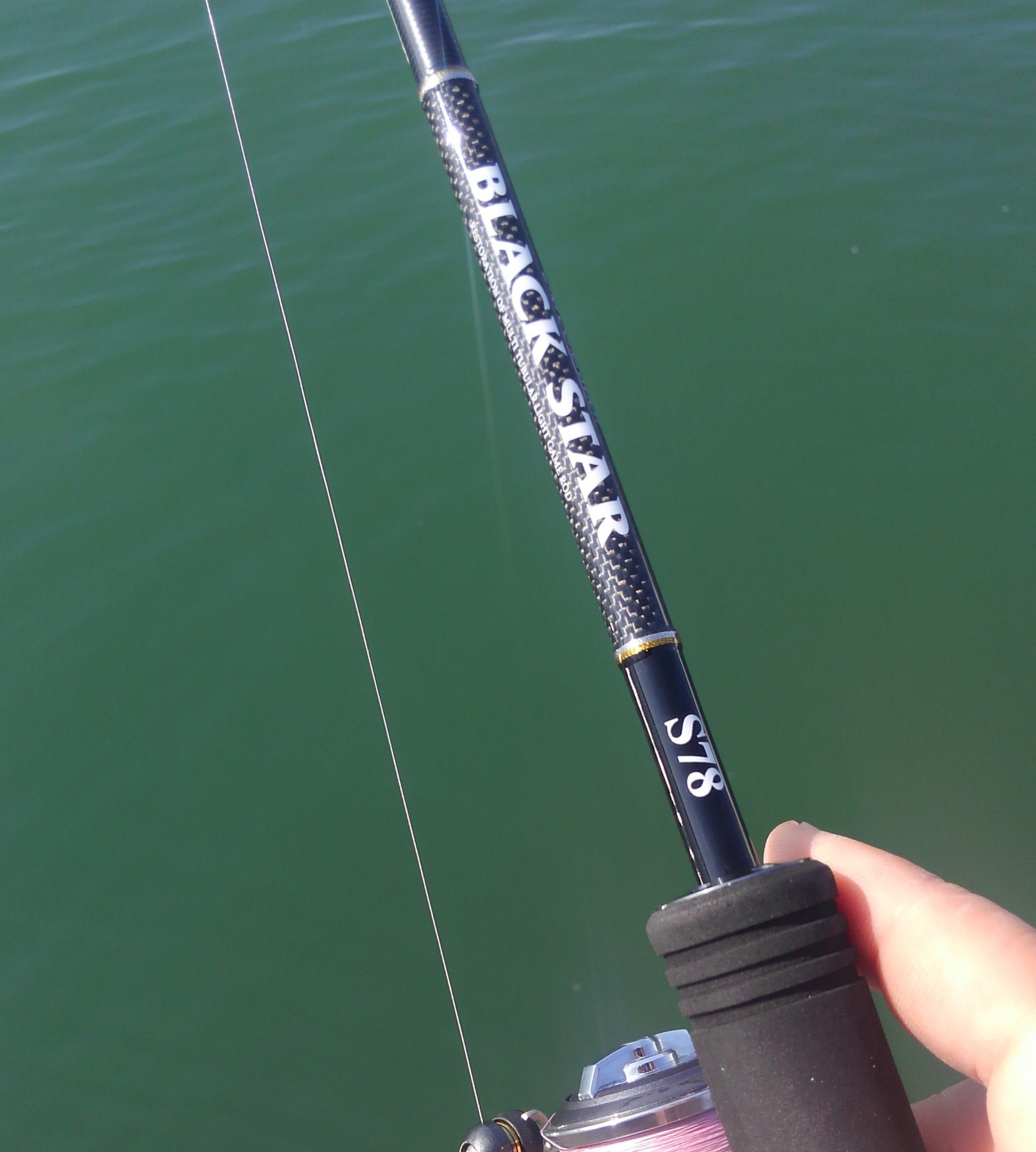 ライトゲーム用万能ロッド「ゼスタ ブラックスター セカンド