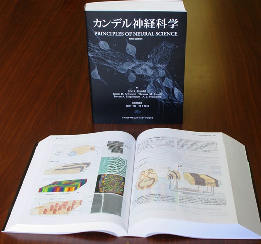 カンデル神経科学」が日本語で読めるようになった - 高橋真理子｜論座