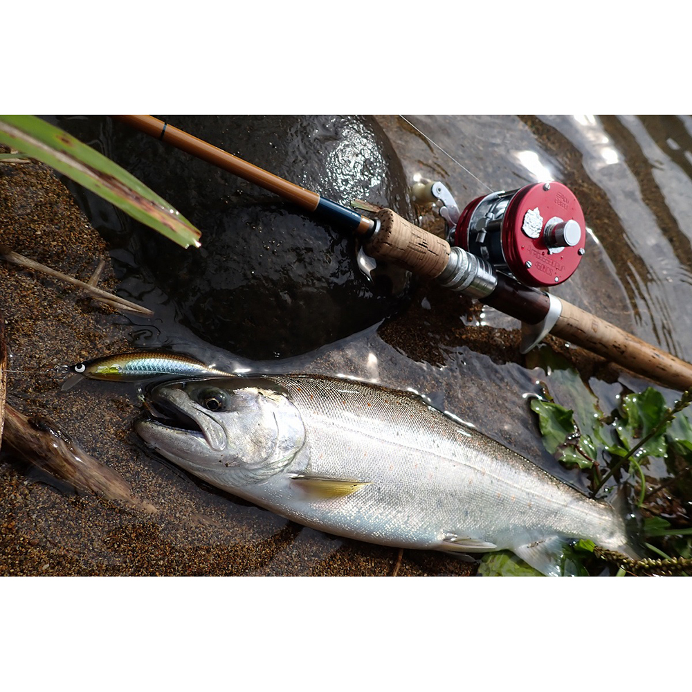 Lime Country and Streams ライムカントリーアンドストリームス Malibu