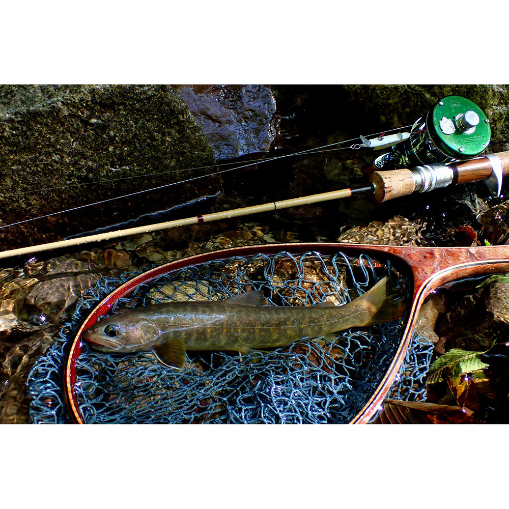 Lime Country and Streams ライムカントリーアンドストリームス Malibu