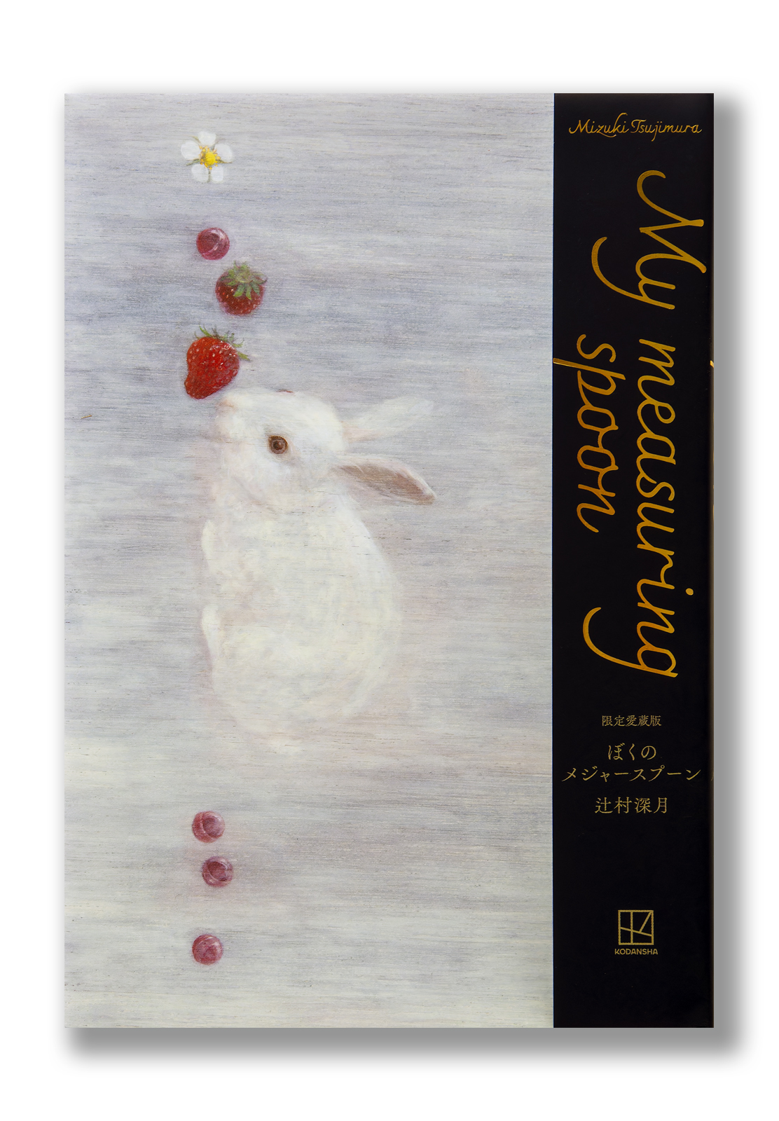 限定愛蔵版 ぼくのメジャースプーン | welle design