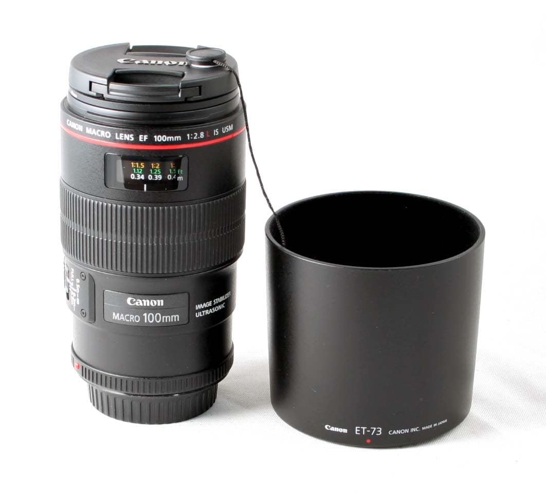 Macro Lens CANON EF 100MM F/2.8 Macro USM Lens, Excellent